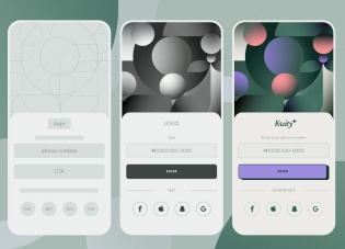 app开发订制参考