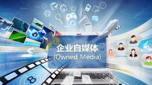 揭秘自媒体运营公司的那些事儿