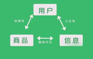 小程序开发平台大揭秘!选择哪个更好?
