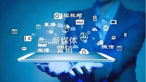 多媒体运营:打造爆款内容的秘密武器!