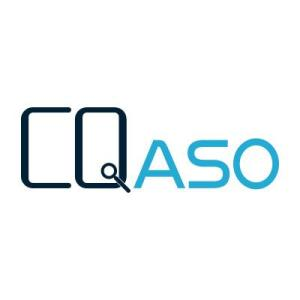 深入探究 aso 公司的业务范围与发展前景