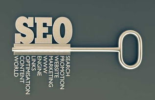 解读SEO排名系统的玄机