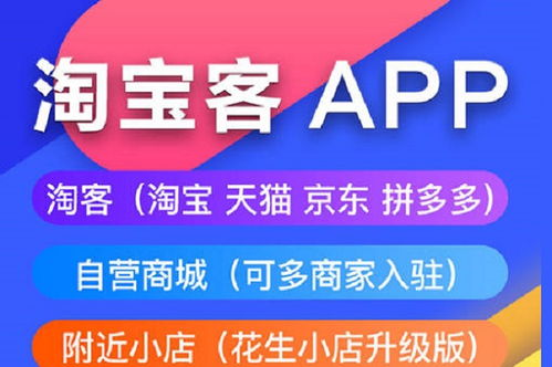 淘客APP开发：打造赚钱利器的关键要点